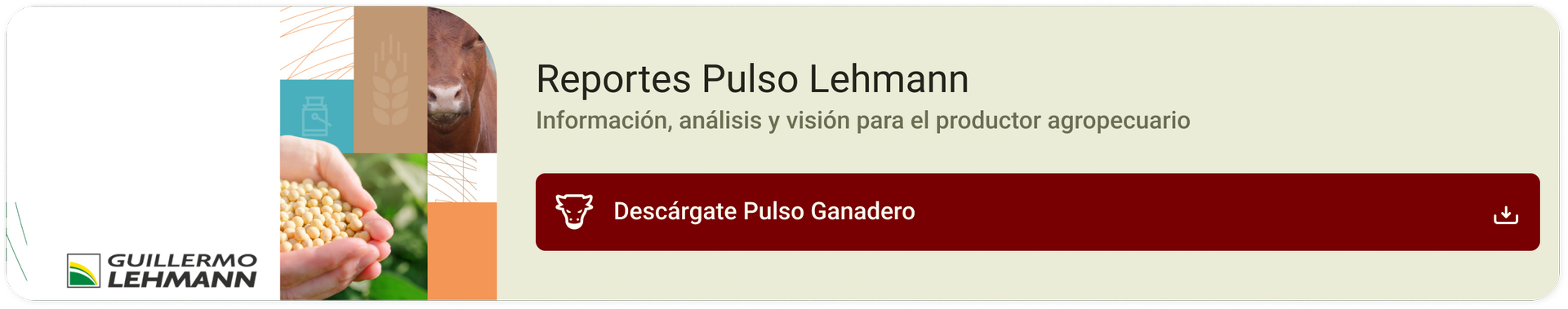 Banner Pulso Lehmann